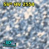 SV* HV  2554