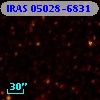 IRAS 05028-6831