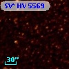 SV* HV  5569