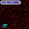SV* HV  2309