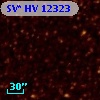 SV* HV 12323