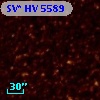 SV* HV  5589