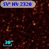 SV* HV  2320
