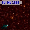 SV* HV  2339