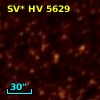 SV* HV  5629