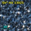 SV* HV 13025