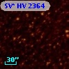 SV* HV  2364