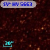 SV* HV  5663