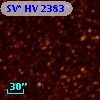 SV* HV  2383