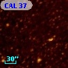 CAL 37