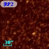 [RP2006]  660