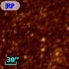 [RP2006] 1232