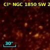 Cl* NGC 1850     SW     269