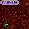 SV* HV   970