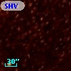 OGLE J050922.32-691344.7