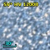 SV* HV 12008