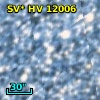 SV* HV 12006
