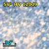 SV* HV 12009