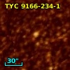 TYC 9166-234-1