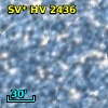 SV* HV  2436