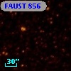 FAUST  856