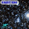 FAUST  894
