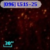 [O96] L51S-25