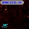 [O96] L51S-31