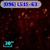 [O96] L51S-63