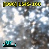 [O96] L54S-160