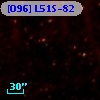 [O96] L51S-82