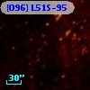 [O96] L51S-95