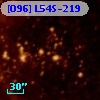 [O96] L54S-219
