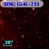 [O96] L54S-231