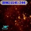 [O96] L54S-244