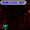 [O96] L51S-107
