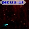 [O96] L51S-117