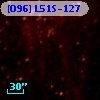 [O96] L51S-127