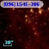[O96] L54S-306