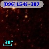 [O96] L54S-307