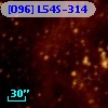 [O96] L54S-314