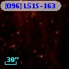 [O96] L51S-163