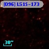 [O96] L51S-173