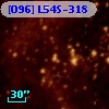[O96] L54S-318