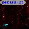 [O96] L51S-172