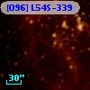 [O96] L54S-339