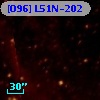 [O96] L51N-202