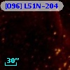 [O96] L51N-204