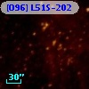 [O96] L51S-202