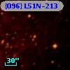 [O96] L51N-213